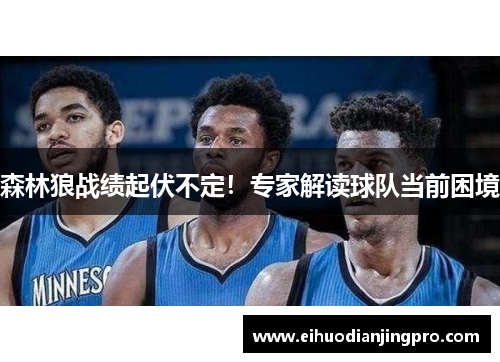森林狼战绩起伏不定！专家解读球队当前困境